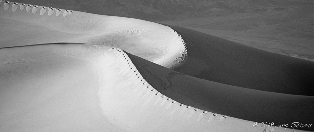 Dune Spiral