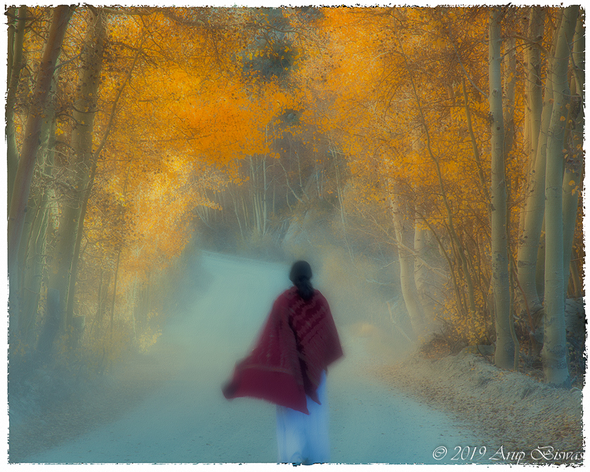 Dream walk