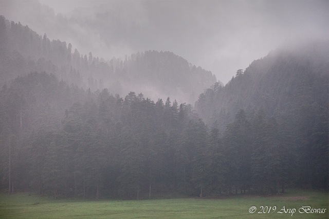 Evening Melody, Khajiar, Himalayas