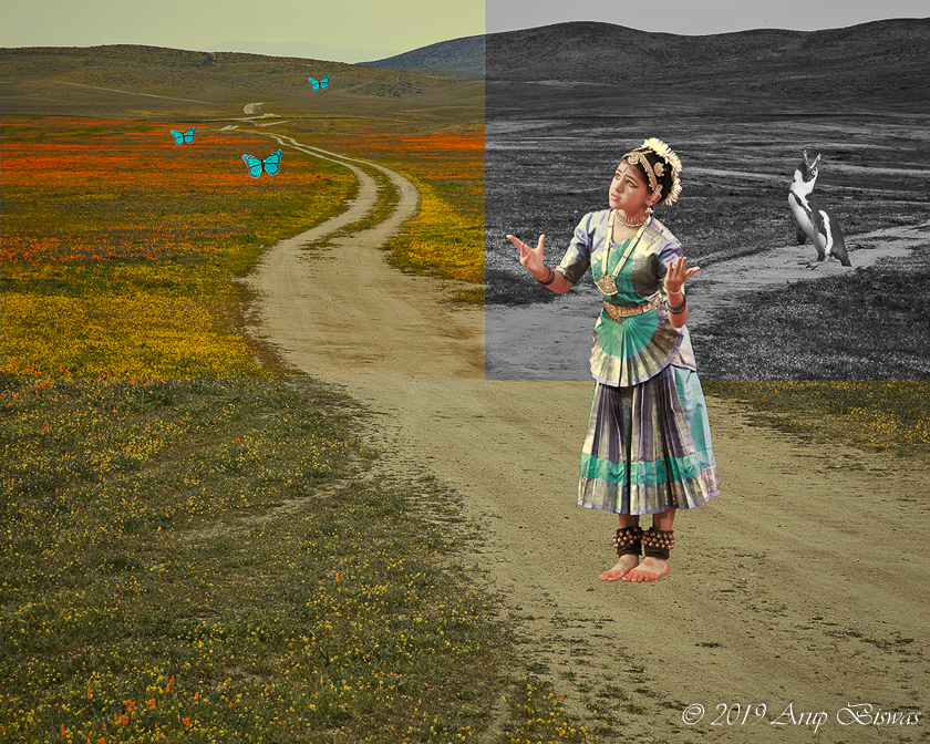 Two Roads