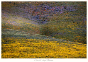 Hills of color, Gorman Hills, California