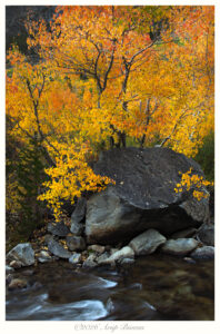 Cottonwood,rock,creek, Eastern Sierras