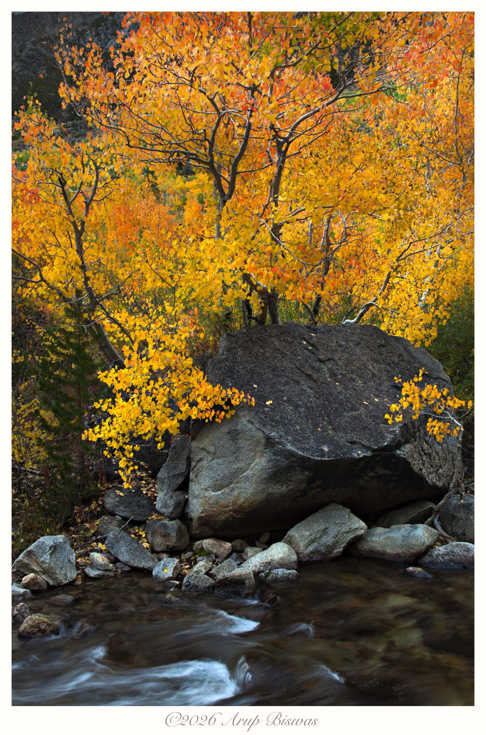 Cottonwood, rock, creek, Eastern Sierras