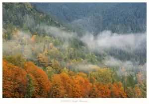 Autumn Dreams, North Cascades