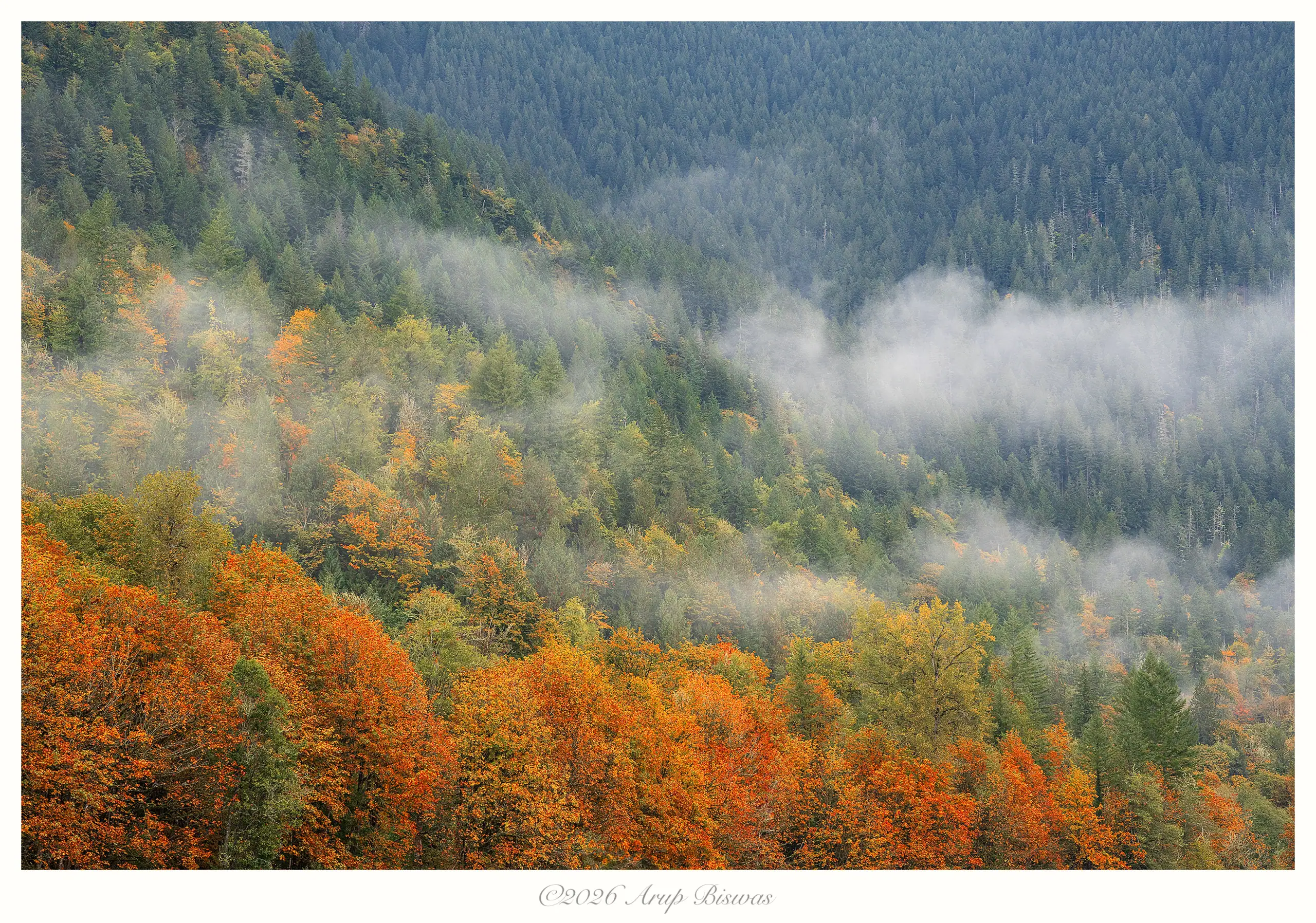 Autumn Dreams, North Cascades
