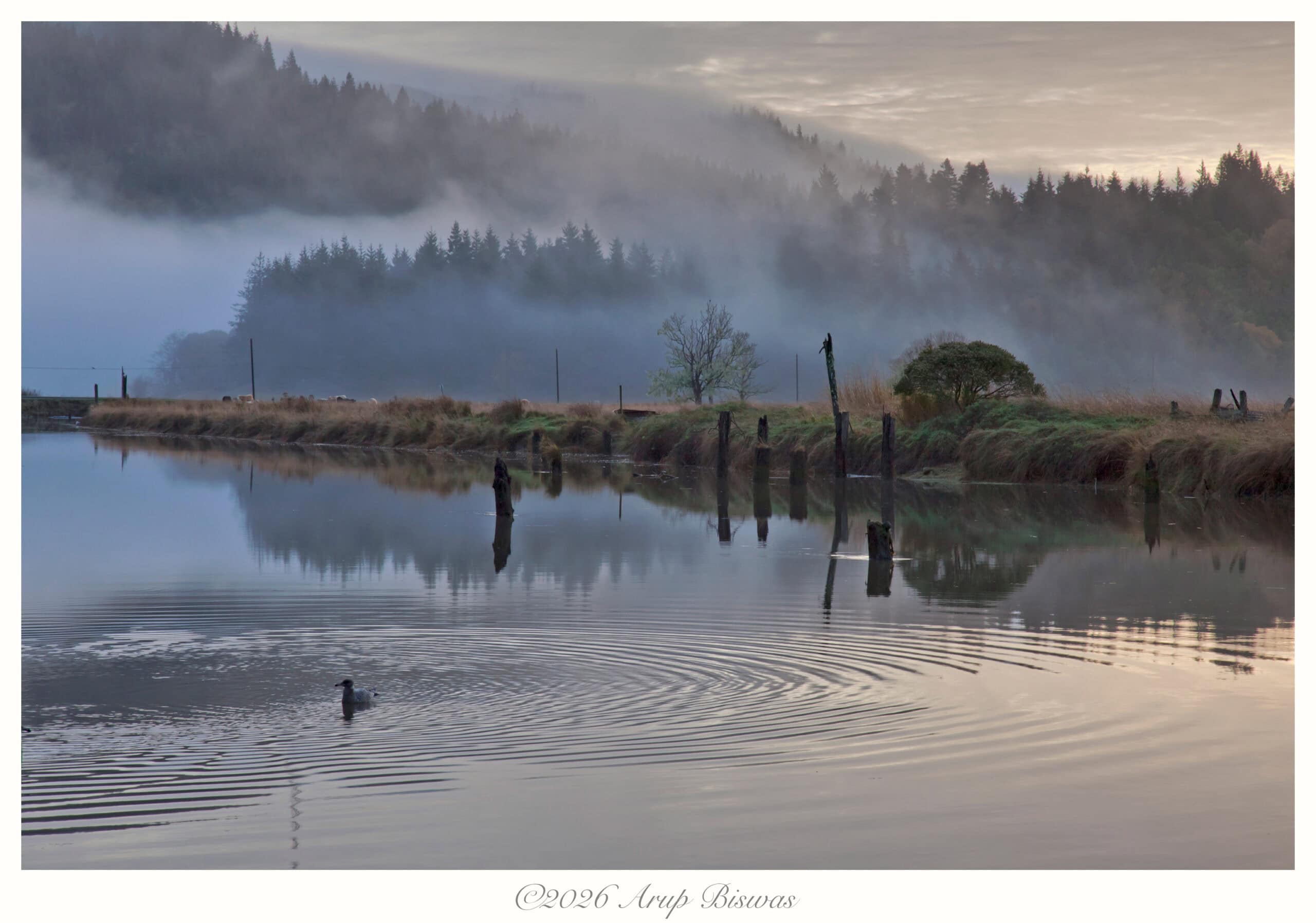 Dawn on Coquille River, Bandon, Oregon
