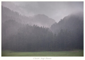 Evening Sonata, Himalayas, India