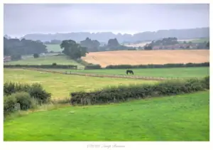 An Idyllic Landscape, Yorkshire Moors, UK
