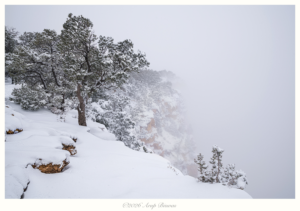Quiet Light, Grand Canyon