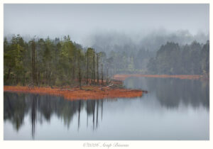 Silent Light, Port Orford, Oregon