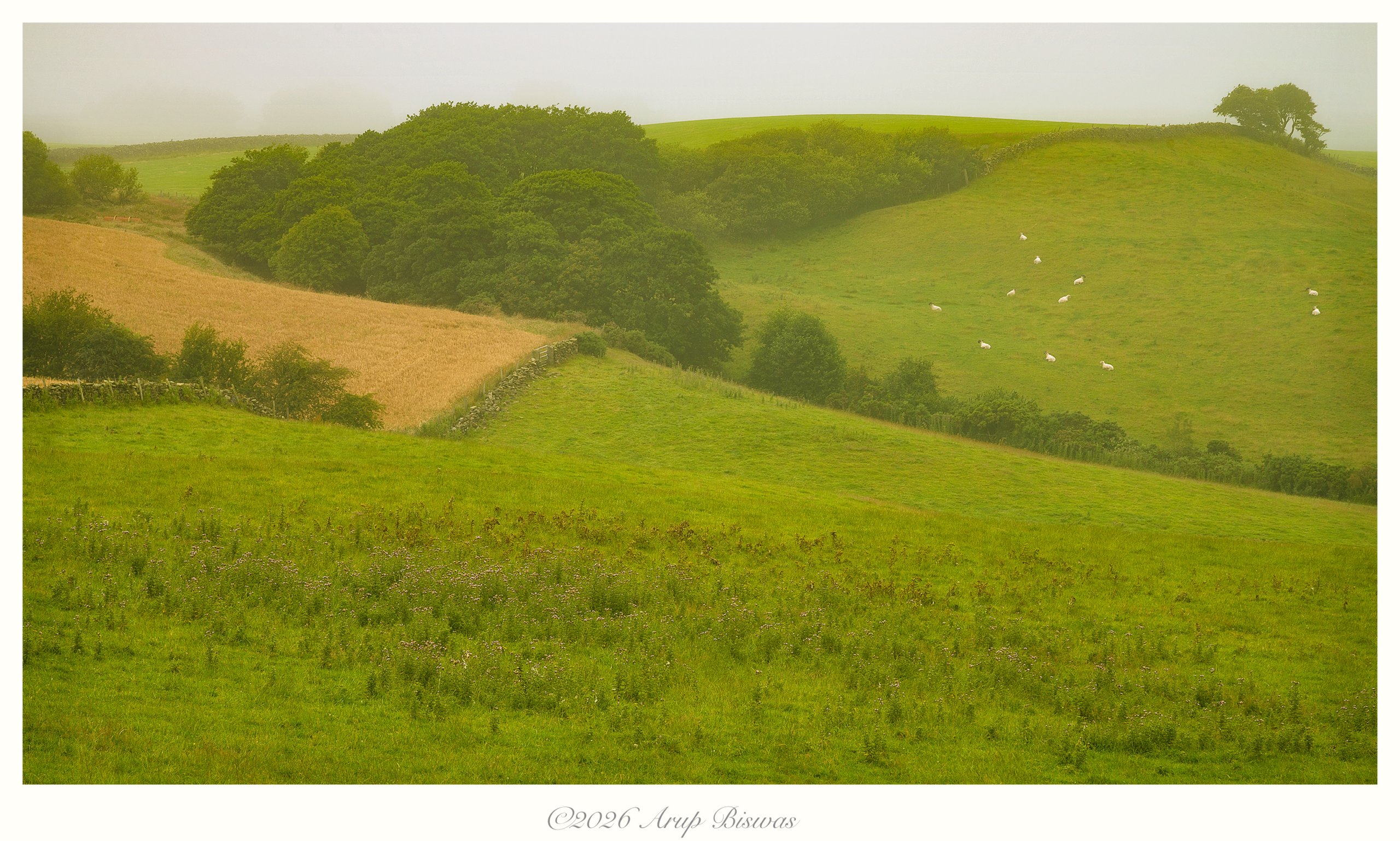 Silent Light, Yorkshire Moors