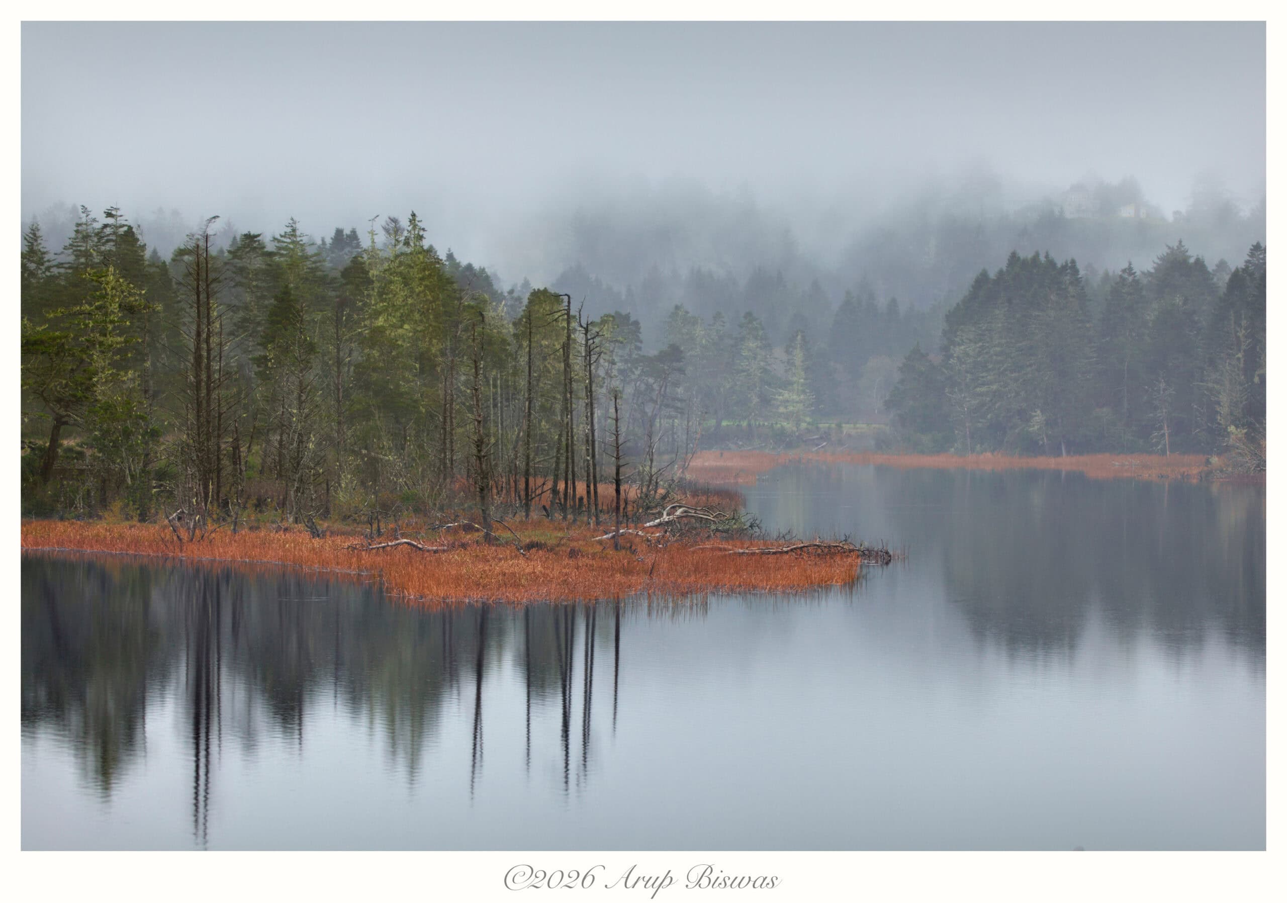 Silent Light, Port Orford, Oregon