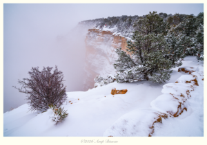 Winter Fog, Grand Canyon