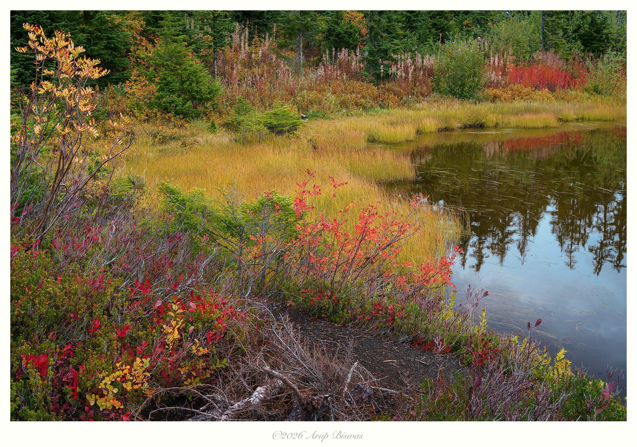 Autumn Dreams, Picture Lake, Washington