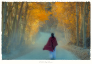 Dreamwalk, Eastern Sierras, California