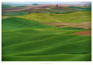 Palouse Dreams, Eastern Washington